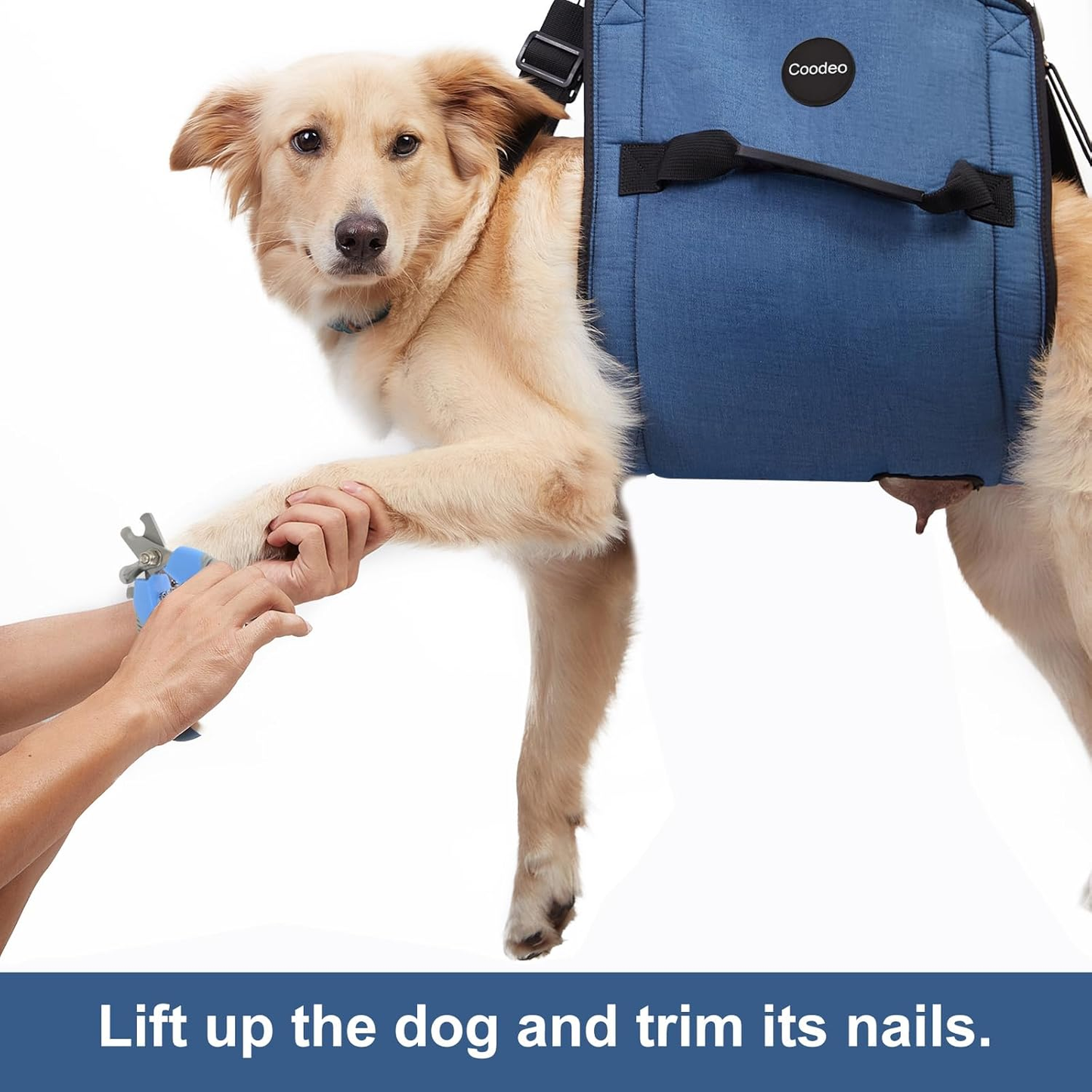 Pet Carrier: Sling, Emergency Backpack, Pet Legs Support & Rehabilitation, Lift Harness for Nail Trimming, Carrier for Senior Dogs with Joint Injuries, Arthritis, up and down Stairs (XXL, Blue)