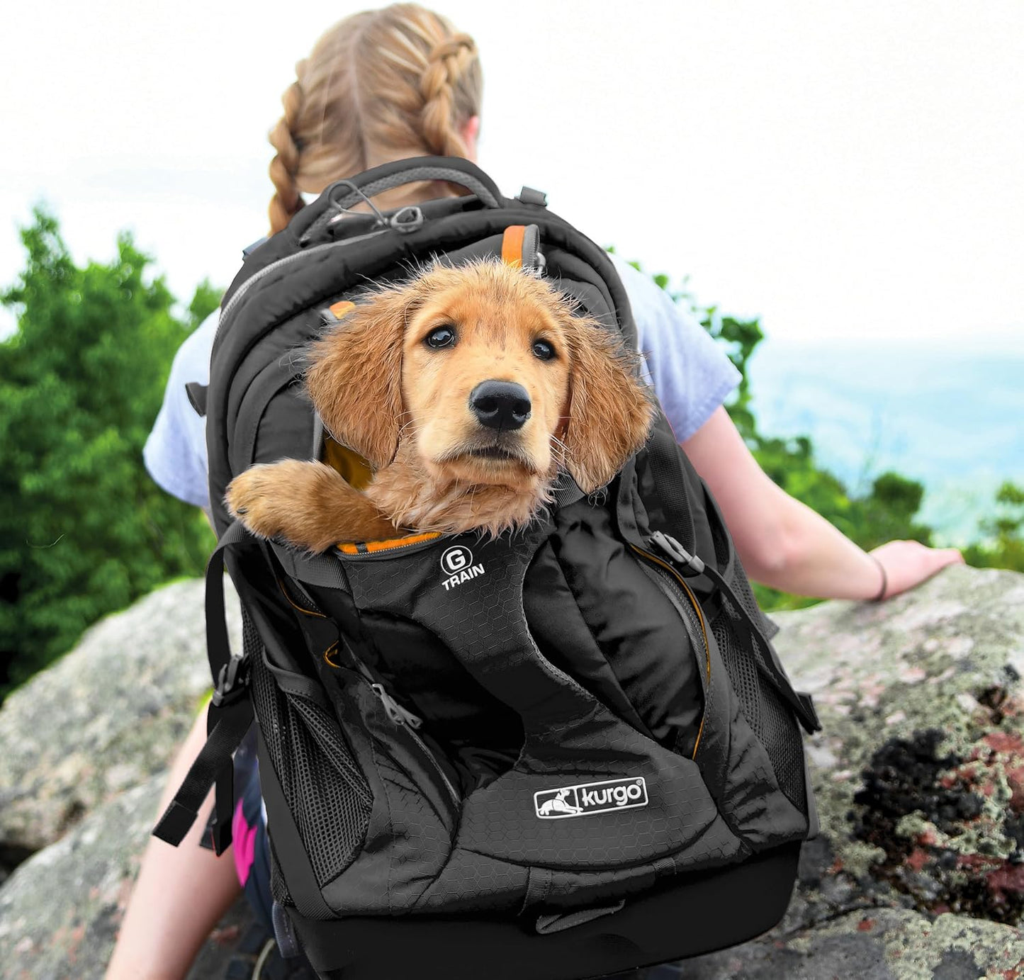 G-Train Dog Carrier Backpack - Comfortable Pet Travel Backpack for Small Dogs up to 11Kg - Rugged Design - Laptop Compartment - Armorsole Base - Water-Resistant - Heather Grey