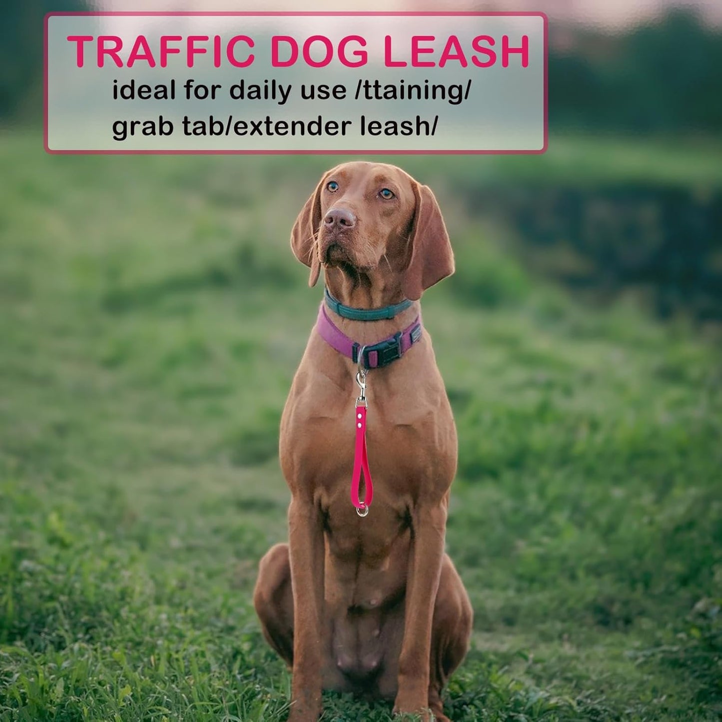 Dog Training Agility Leash - 9 Inch Pink PVC Short Leash with Grab Tab for Close Control and Safety