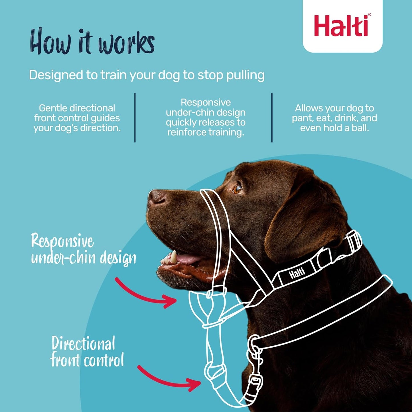 Headcollar - Stop Your Dog Pulling on the Lead. Adjustable, Reflective and Lightweight, with Padded Nose Band. Dog Training Anti-Pull Collar for Medium Dogs (Size 3, Black)