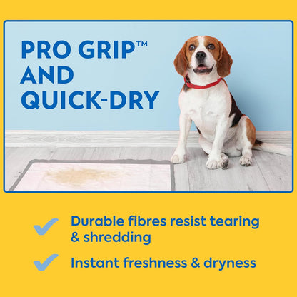 Heavy Duty XXL Dog Pads - Absorbent Pet Training and Puppy Pads - 26 X 30 in - 30 Count,White