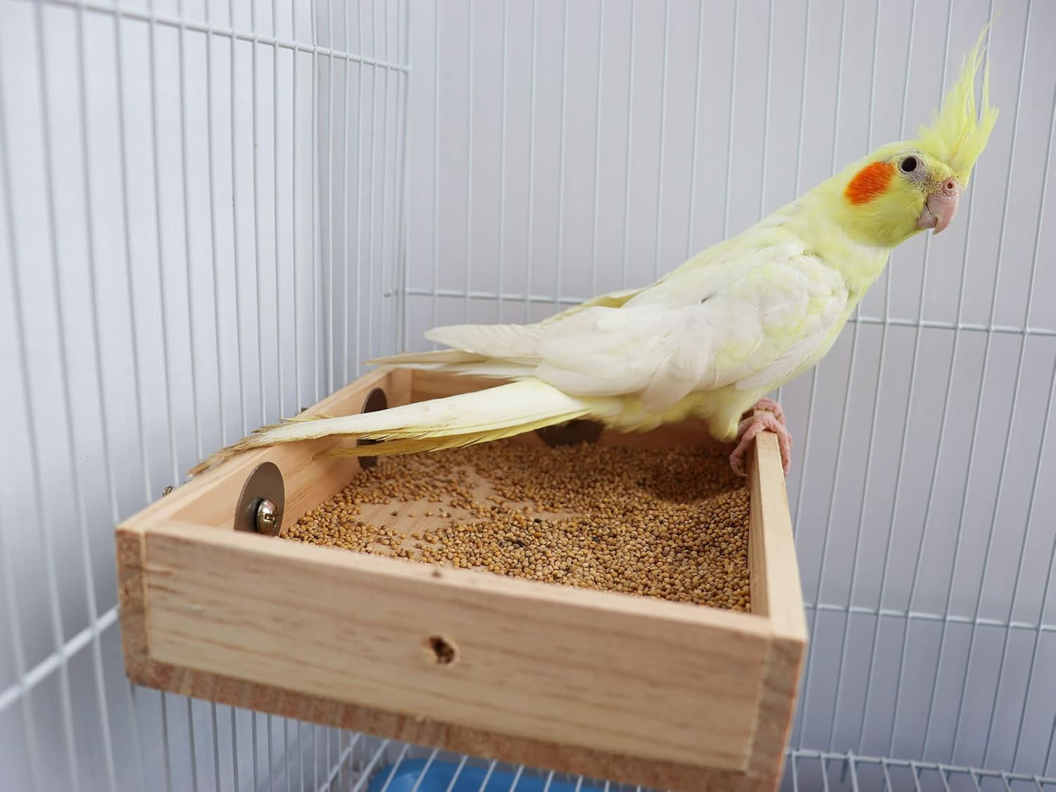 Bird Feeding Cups, Wooden Parrot Perch Stand, Parakeets Food Dish, Cockatiels Feeding Bowl, Cage Accessory for Small Animals Rats Mouse Budgies Love Birds Pigeon Chinchilla