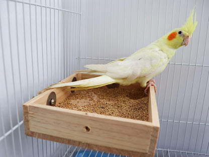 Bird Feeding Cups, Wooden Parrot Perch Stand, Parakeets Food Dish, Cockatiels Feeding Bowl, Cage Accessory for Small Animals Rats Mouse Budgies Love Birds Pigeon Chinchilla