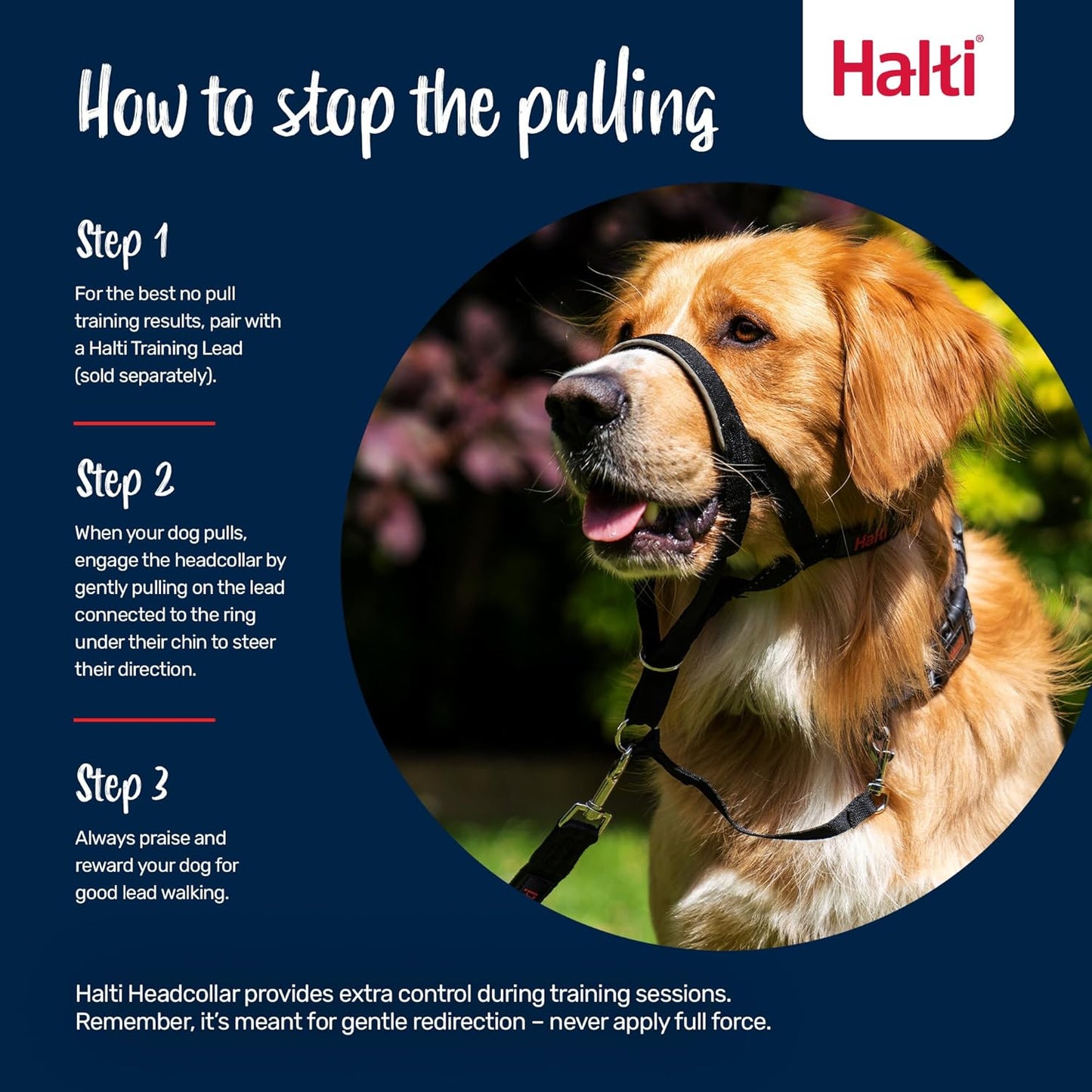 Headcollar - Stop Your Dog Pulling on the Lead. Adjustable, Reflective and Lightweight, with Padded Nose Band. Dog Training Anti-Pull Collar for Medium Dogs (Size 3, Black)