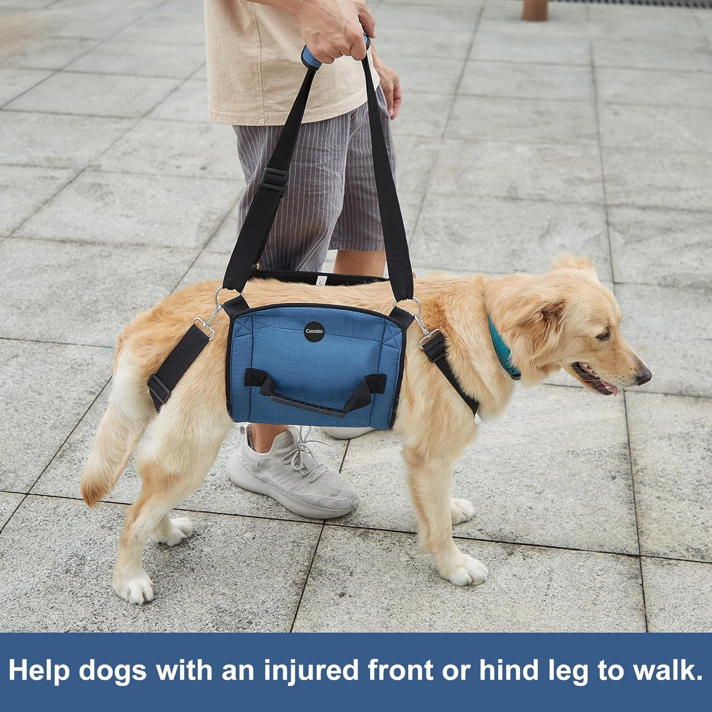 Pet Carrier: Sling, Emergency Backpack, Pet Legs Support & Rehabilitation, Lift Harness for Nail Trimming, Carrier for Senior Dogs with Joint Injuries, Arthritis, up and down Stairs (XXL, Blue)