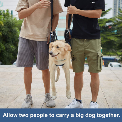 Pet Carrier: Sling, Emergency Backpack, Pet Legs Support & Rehabilitation, Lift Harness for Nail Trimming, Carrier for Senior Dogs with Joint Injuries, Arthritis, up and down Stairs (XXL, Blue)