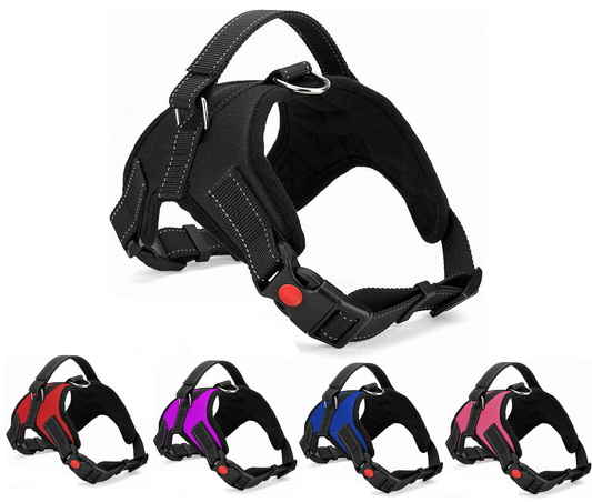 Dog Harness: No Pull for Small, Medium & Large Dogs - Anti Pull Strong and Adjustable