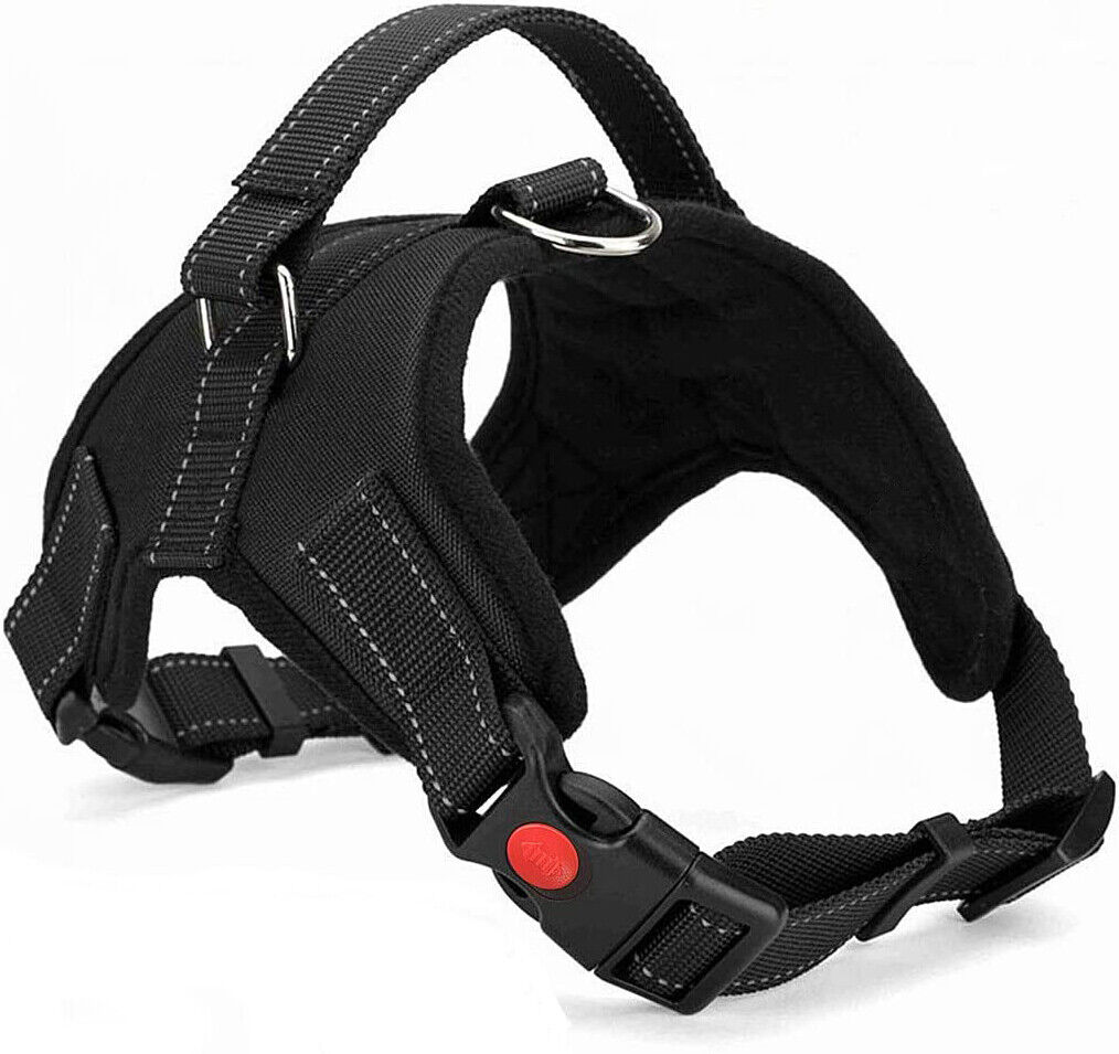 Dog Harness: No Pull for Small, Medium & Large Dogs - Anti Pull Strong and Adjustable