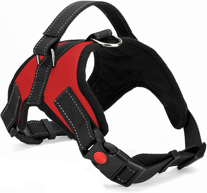 Dog Harness: No Pull for Small, Medium & Large Dogs - Anti Pull Strong and Adjustable
