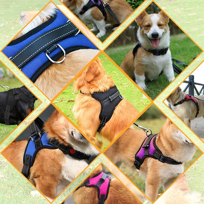 Dog Harness: No Pull for Small, Medium & Large Dogs - Anti Pull Strong and Adjustable