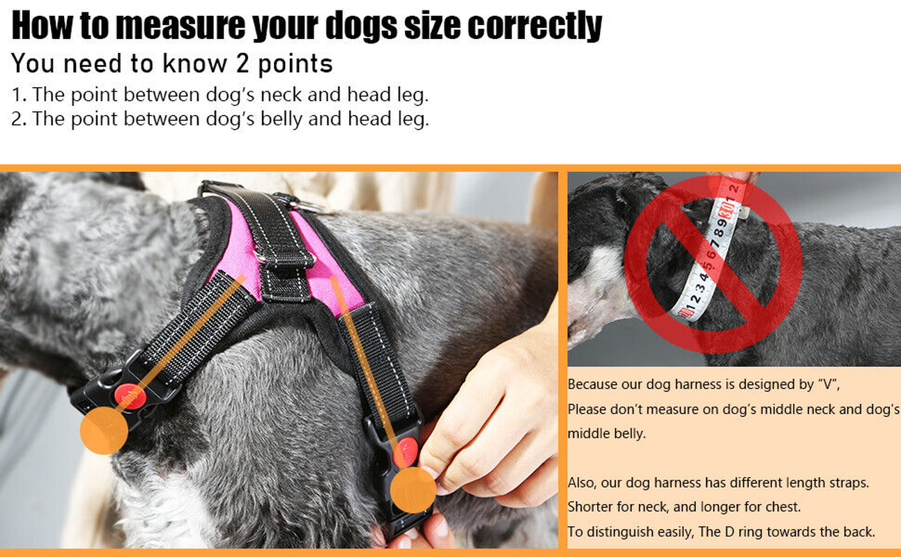 Dog Harness: No Pull for Small, Medium & Large Dogs - Anti Pull Strong and Adjustable