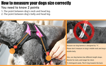 Dog Harness: No Pull for Small, Medium & Large Dogs - Anti Pull Strong and Adjustable