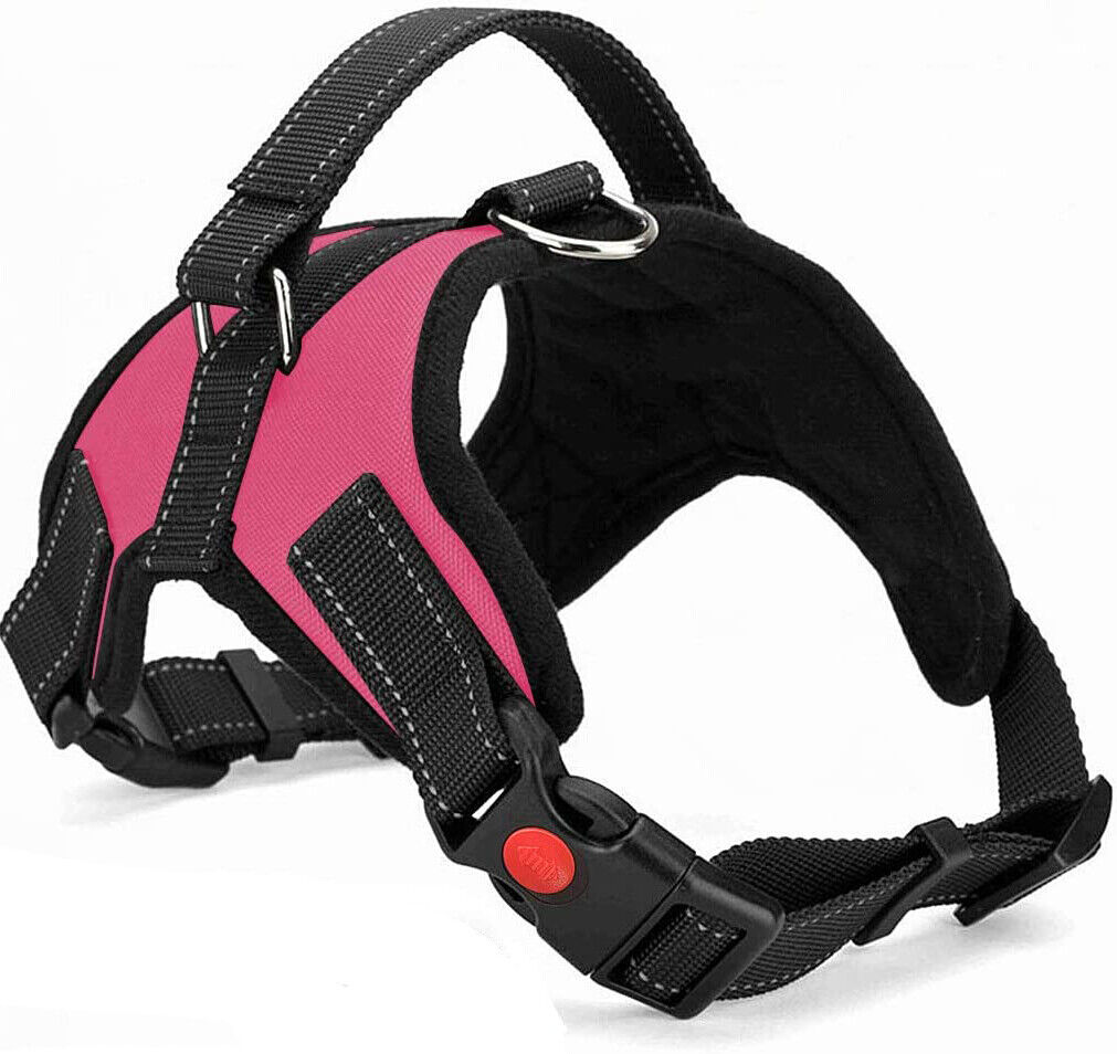 Dog Harness: No Pull for Small, Medium & Large Dogs - Anti Pull Strong and Adjustable