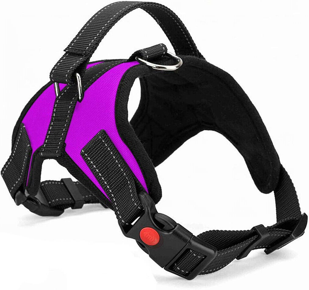 Dog Harness: No Pull for Small, Medium & Large Dogs - Anti Pull Strong and Adjustable