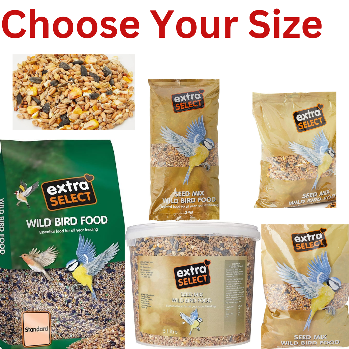 Bird Food: Extra Select Seed Mix, Wild Bird Food Nutrient helps Rich Skin & Coat Health Small Bird