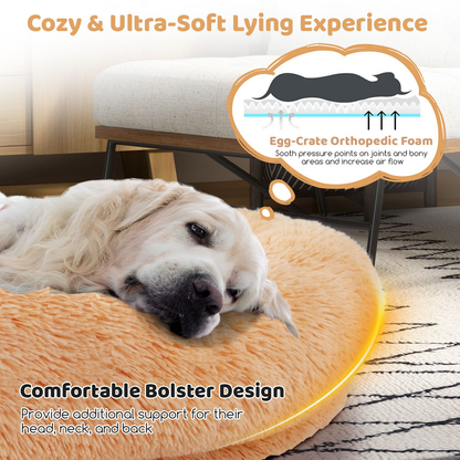 Dog Bed: Human Sized Dog Bed (L171 x W115 x H25 cm) with Soft Blanket (L180 x W123 cm) and Plump Pillow (L59 x W40 x H17 cm)
