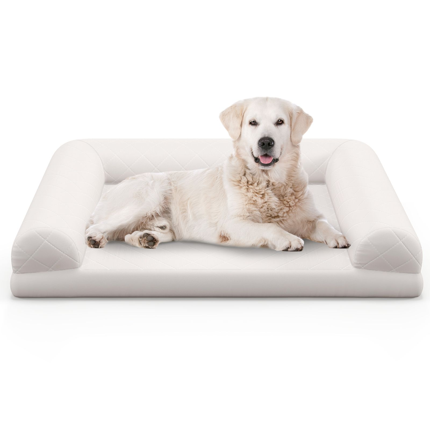 Dog Bed: Orthopedic Dog Bed Egg-Foam with 3-Side Bolster measures 90 x 69 x 18 cm (L x W x H)