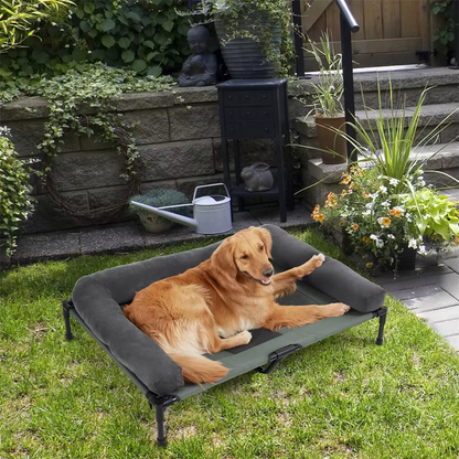 Dog Bed: Outdoor Dog Bed | Elevated Cooling | Pet Lounger with Detachable Plush Bolster.