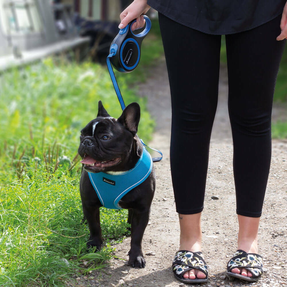 Dog Leash: Retractable Dog Lead Extending Leash: Small 3M Tape (Max 15Kg) | Medium 5M Tape & Cord (Max 25Kg) | Large 8M Tape (Max 50Kg)