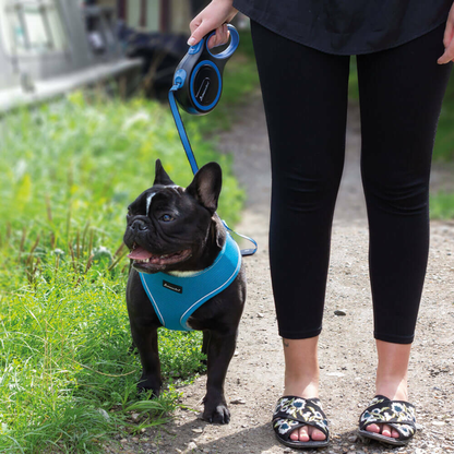 Dog Leash: Retractable Dog Lead Extending Leash: Small 3M Tape (Max 15Kg) | Medium 5M Tape & Cord (Max 25Kg) | Large 8M Tape (Max 50Kg)