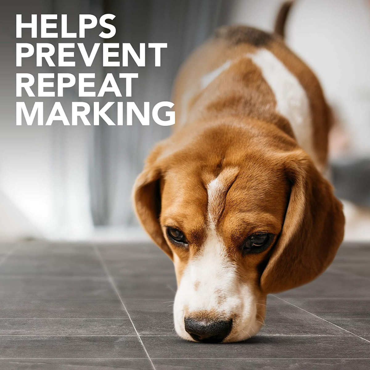 Pet Care: Simple Solution Dog Cat Pet Stain Odour Remover Urine Smell Destroyer Cleaner.