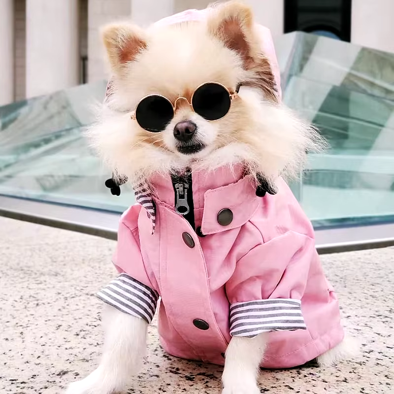 Dog Coat: Waterproof Dog Coat for Small, Medium, Large Dogs | Windproof Jacket | Dog Raincoat | Pet Clothes in Pink & Yellow
