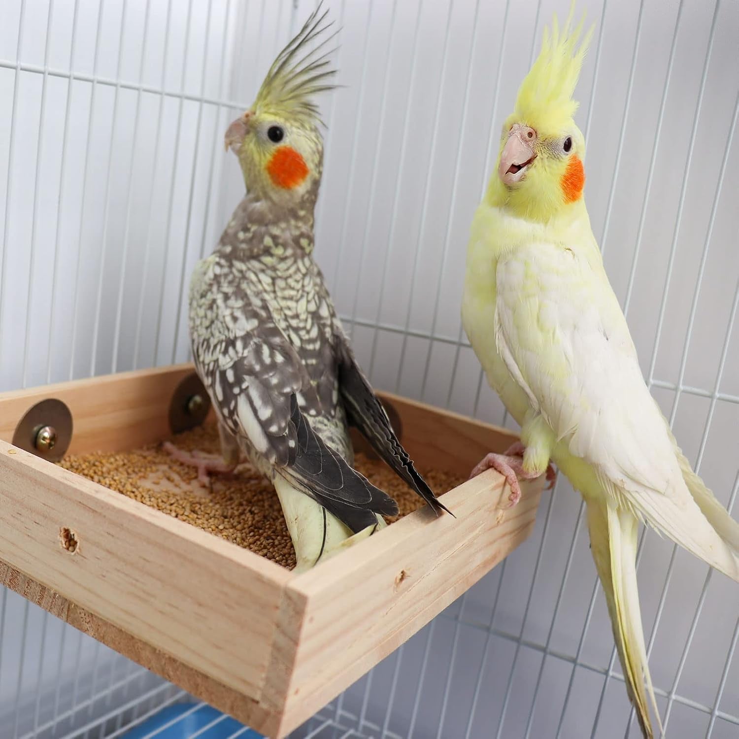 Bird Feeding Cups, Wooden Parrot Perch Stand, Parakeets Food Dish, Cockatiels Feeding Bowl, Cage Accessory for Small Animals Rats Mouse Budgies Love Birds Pigeon Chinchilla
