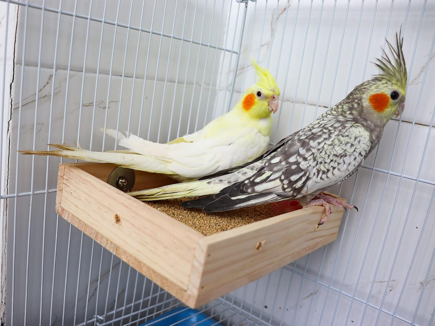 Bird Feeding Cups, Wooden Parrot Perch Stand, Parakeets Food Dish, Cockatiels Feeding Bowl, Cage Accessory for Small Animals Rats Mouse Budgies Love Birds Pigeon Chinchilla