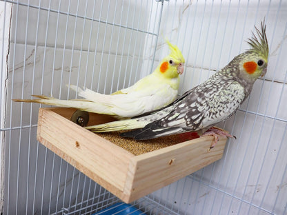 Bird Feeding Cups, Wooden Parrot Perch Stand, Parakeets Food Dish, Cockatiels Feeding Bowl, Cage Accessory for Small Animals Rats Mouse Budgies Love Birds Pigeon Chinchilla