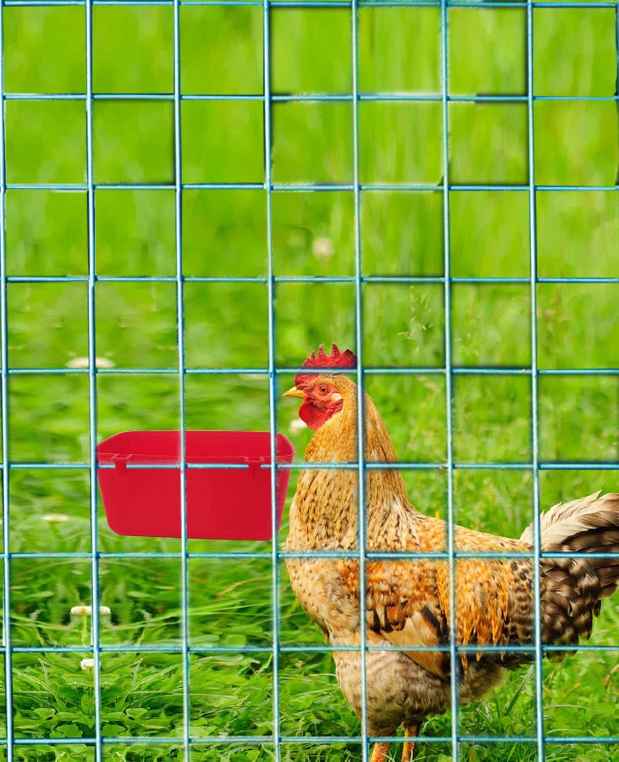 24 Pack Rabbit Feeder Waterer Chicken 21 Oz Food Water Cage Cups Puppy Cat Hanging Feeding Dish Coop Bowl Watering Container Treats Drinker for Pigeon Bird Bath Basin Hamster Bed